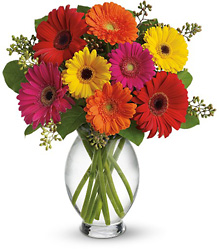 Gerbera Brights from McIntire Florist in Fulton, Missouri